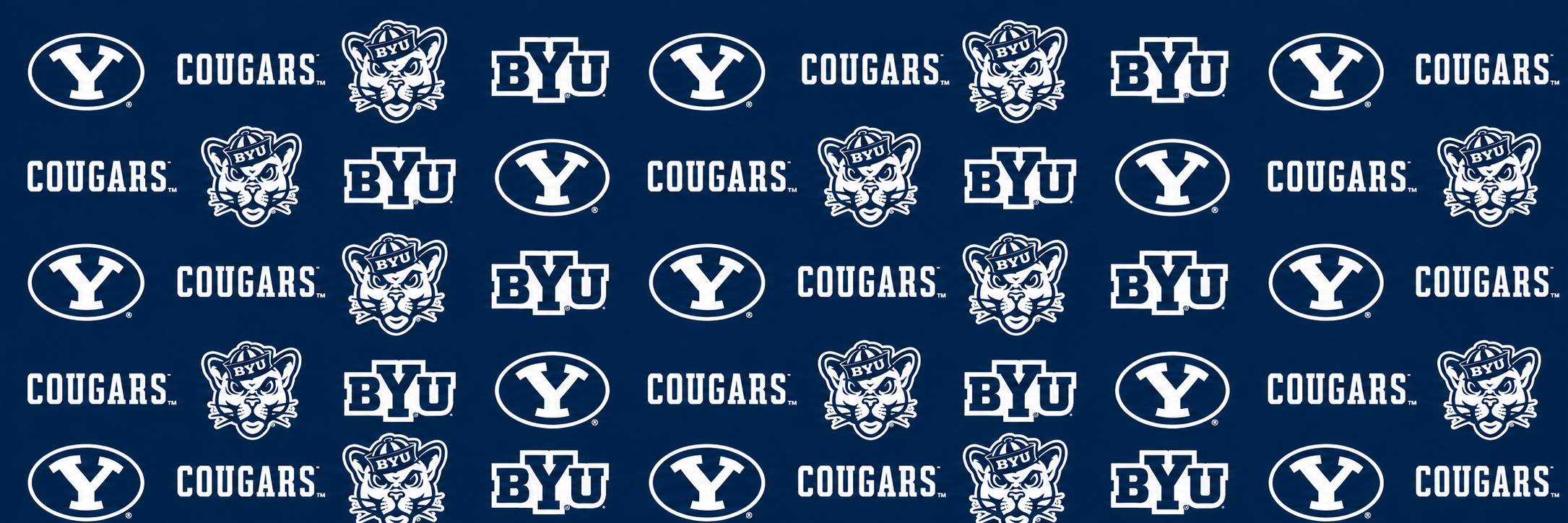 Brigham Young University